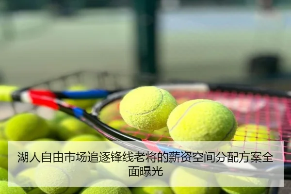 湖人自由市场追逐锋线老将的薪资空间分配方案全面曝光