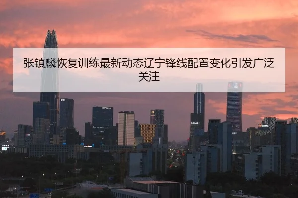 张镇麟恢复训练最新动态辽宁锋线配置变化引发广泛关注