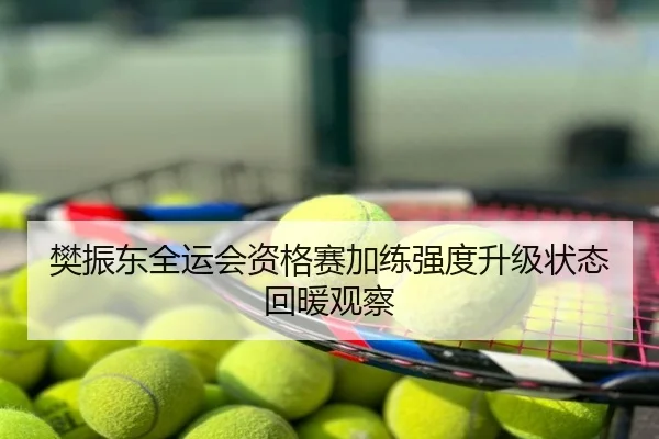 樊振东全运会资格赛加练强度升级状态回暖观察